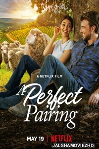 A Perfect Pairing (2022) Hindi Dubbed