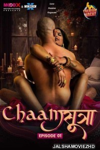 Chaam Sutra (2024) MoodX Original